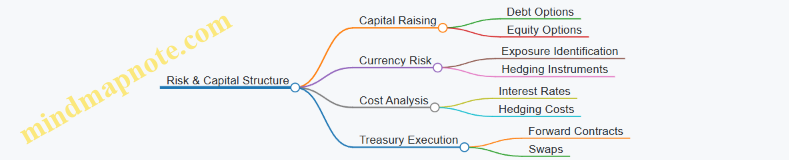 Risk & Capital Structure