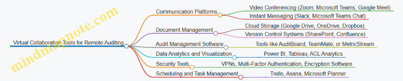 Virtual Collaboration Tools for Remote Auditing