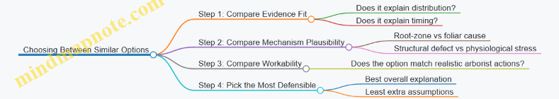 Choosing Between Similar Options