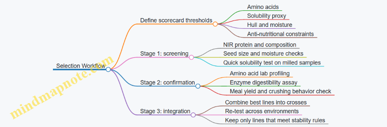 Selection Workflow