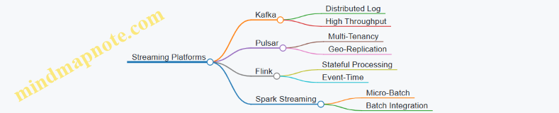 Streaming Platforms