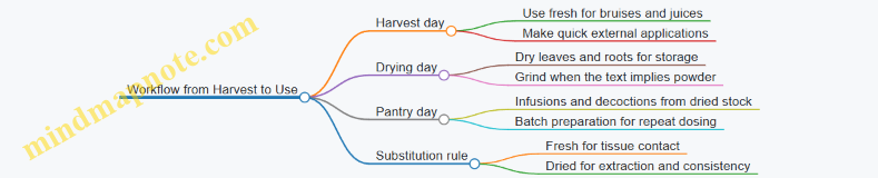 Workflow from Harvest to Use