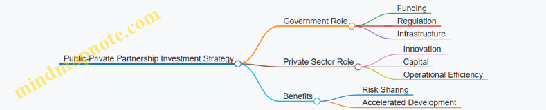 Public-Private Partnership Investment Strategy