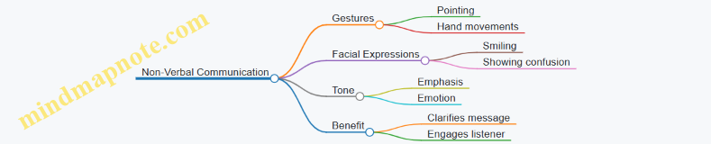 Non-Verbal Communication