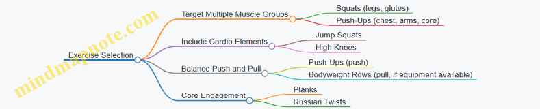 Exercise Selection
