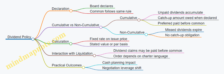 Dividend Policy