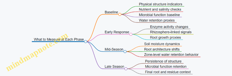 What to Measure at Each Phase