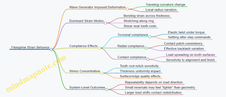 Flexspline Strain Behavior
