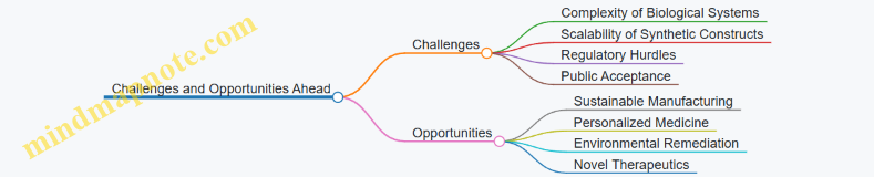 Challenges and Opportunities Ahead