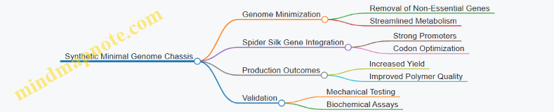 Synthetic Minimal Genome Chassis