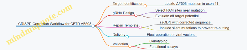CRISPR Correction Workflow for CFTR ΔF508