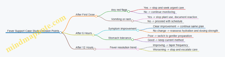 Fever Support Case Study Decision Points