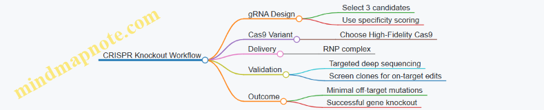 CRISPR Knockout Workflow