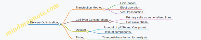Delivery Optimization