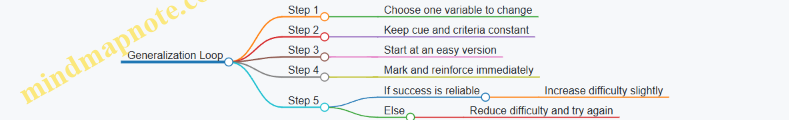Generalization Loop