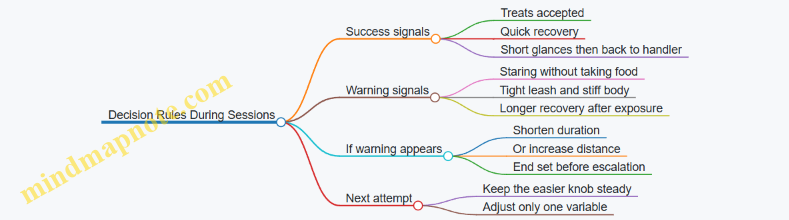 Decision Rules During Sessions