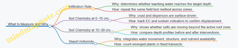 What to Measure and Why