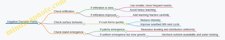 Irrigation Decision Points