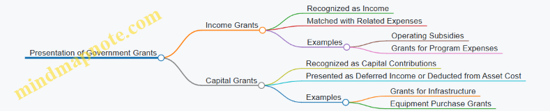 Presentation of Government Grants