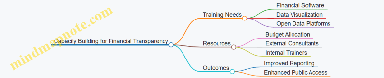 Capacity Building for Financial Transparency