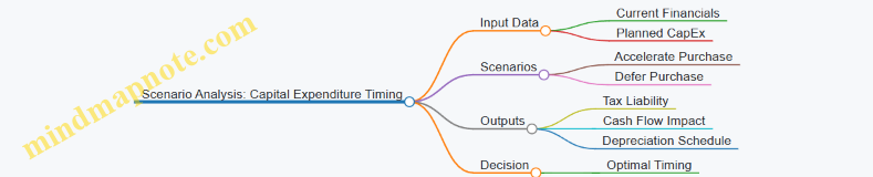 Scenario Analysis: Capital Expenditure Timing