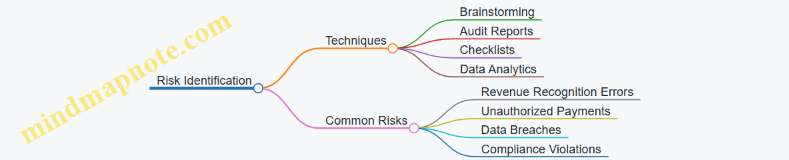 Risk Identification
