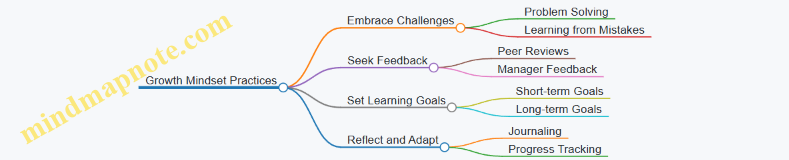 Growth Mindset Practices