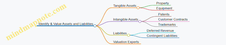 Identify & Value Assets and Liabilities
