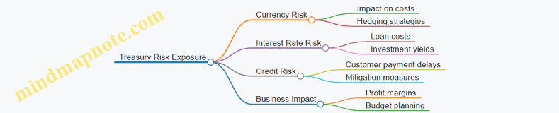 Treasury Risk Exposure