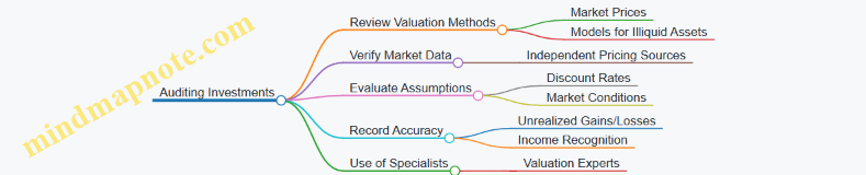 Auditing Investments