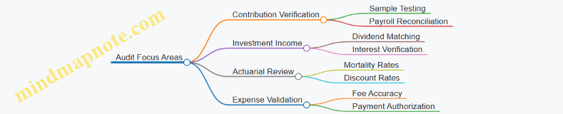 Audit Focus Areas