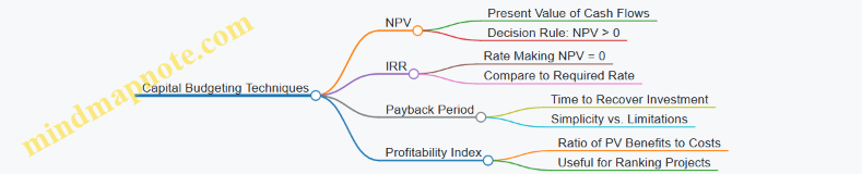 Capital Budgeting Techniques